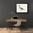 thumbnail image 4 of Rochus van Veen 24x19 Black Modern Framed Museum Art Print Titled - Drake Pintail (1682), 4 of 5