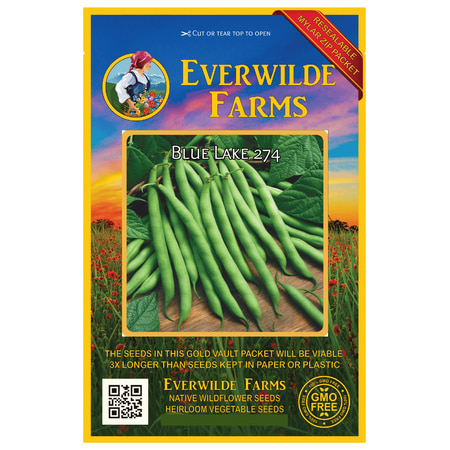 Everwilde Farms - 140 Blue Lake 274 Green Bush Bean Seeds - Gold Vault Jumbo Bulk Seed