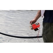 PROSTORMER 1/10HP 12V Mini Portable Water Pump, 350GPH DC Utility Pump, Electric Transfer Pump, Utility Pump with Hose Kit