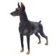 thumbnail image 2 of Modelo Animal De Mano De Obra Exquisita, Juguete De Simulación De Perro Estable Y Duradero, Apariencia Vívida Para El Hogar De Los Niños, 2 of 7
