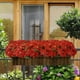 thumbnail image 4 of Flores Artificiales De Pascua Navide As, Decoraci N Para Interiores Y Exteriores, Planta Artificial Para Porche, Casa O Jard N, Color Rojo Vibrante Y Dise O Realista, Decoraci N Navide a, 4 of 5