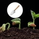 thumbnail image 3 of Paleta de jardín, cómoda pala de jardín con mango de madera para cavar y plantar MFZFUKR  CPB-US-DYP276-3, 3 of 5