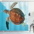 thumbnail image 1 of Ambesonne Turtle Shower Curtain, Sea Animal Caribbean, 69"Wx70"L, Turquoise Cinnamon, 1 of 3