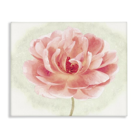 Stupell Industries Cottage Soft Pink Peony Canvas Art, 30 x 24, by Christine Zalewski