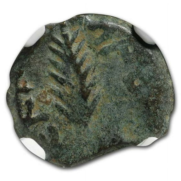 Judaea Procurators AE Prutah Porcius Festus (59-62 AD) NGC