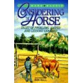 thumbnail image 1 of Considering the Horse: Contes de Problèmes Résolus et Leçons Apprenues, 1 of 1