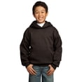 thumbnail image 1 of Port & Company? - Sudadera con capucha de tejido Fleece Core para j?venes. PC90YH Puerto & Compa??a PC90YH, 1 of 1