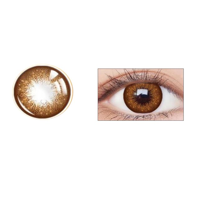 Contact Lenses Fundamental Fundamental Inevitable Be Of Full Functioning Fine Craftsmanship Universal Captivating for Home ANGGREK Otros