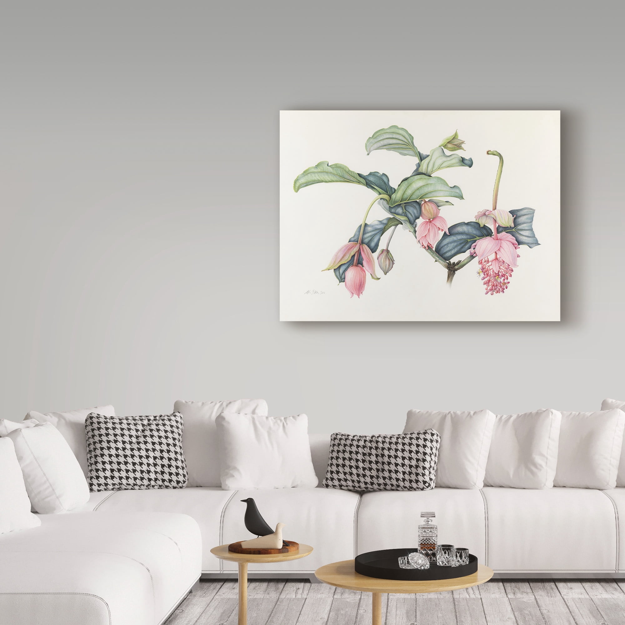 Trademark Fine Art 'Medinilla Magnifica' Canvas Art by Margaret Ann Eden