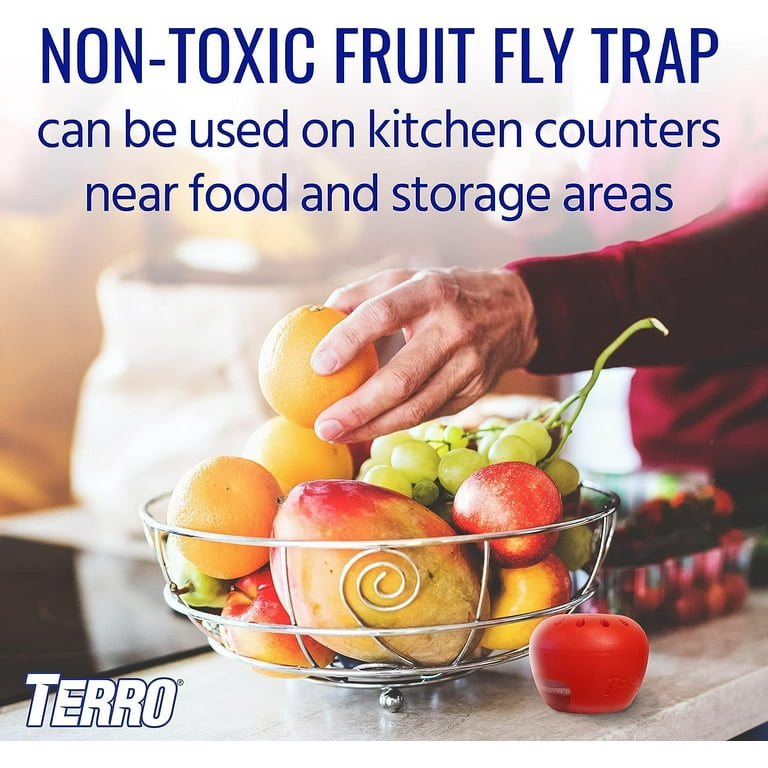 Terro Fruit Fly Trap Display
