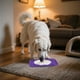 thumbnail image 3 of Comedero Lento Para Perros Almohadilla De Silicona Para Que Los Perros Laman Dispensador Para Cachorros Y Gatos Que Evita La Ansiedad Y El Desorden Seaflex Feast Mat – Comedero Lento Fomenta El, 3 of 5