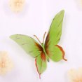 thumbnail image 4 of Naiovety Cortina de mariposa de poliéster fácil de instalar para varios entornos Cortina con estampado de mariposas Sombras de ventana, 4 of 6