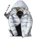 thumbnail image 1 of Chaqueta corta de plumón de pato con capucha cálida de invierno para hombre, 1 of 1