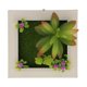 thumbnail image 1 of 3D Placa Arte de Cartel Letrero Colgante de Pared Suculenta Flor Artificial Adorno Hogar # 14 Baoblaze Colgar en la pared, 1 of 6