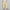 Yellow, variant on Clearance SEMPAI Cropped Legging Casual Pants Mid 100%Polyester Womens Pants Winter Pants Straight Trendy Plus Size Pants for Women for Women Pants for Women 2024 Clearance