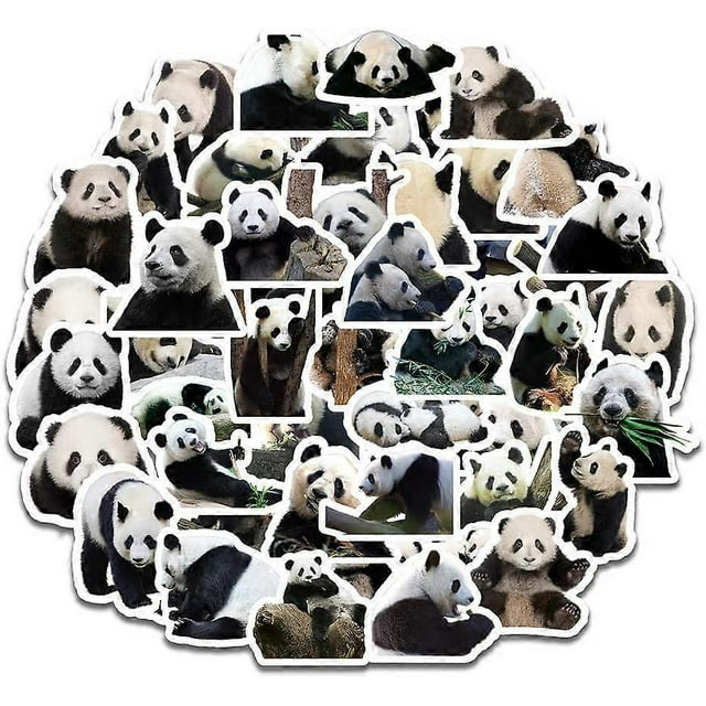 50 pegatinas de panda adorables, pegatinas láser impermeables, pegatinas para coche, pegatinas para portátil, pegatinas para motocicleta, bicicleta, equipaje, parches de grafiti para camisetas.