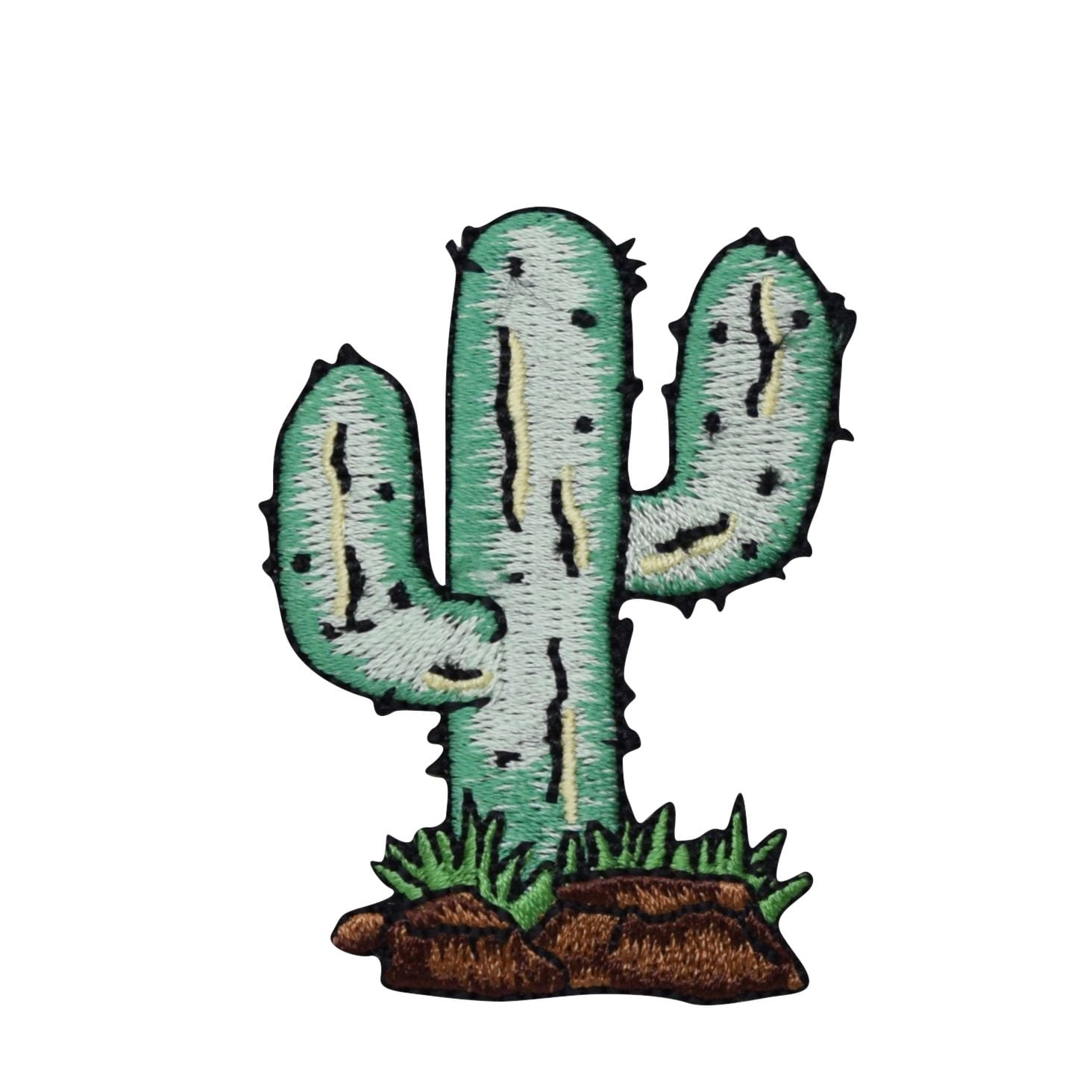 Cactus Patch Desert Theme Patch Cactophile Iron on Patch Saguaro in a Pot Iron on Patch