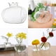 thumbnail image 4 of Florero de cristal decorativo de plantas florales Macarena Jarrones de flores, 4 of 8