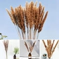 thumbnail image 2 of 20Pcs Pampas Grass, 60Cm Natural Pampas Flower Dried Flower Bouquet For Vases, Boho Decoration Bedroom Home Living Room, Wedding Photograph Table Decoration, Natural Pampas Grass Reeds, 2 of 6