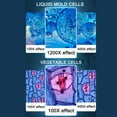 thumbnail image 5 of Gallickan 100x-1000x Beginners Microscope Kit for Kids & Students Complete Science Accessory Kit, 5 of 8