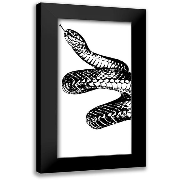 Prime, Marcus 9x14 Black Modern Framed Museum Art Print Titled - Snake Bite 1