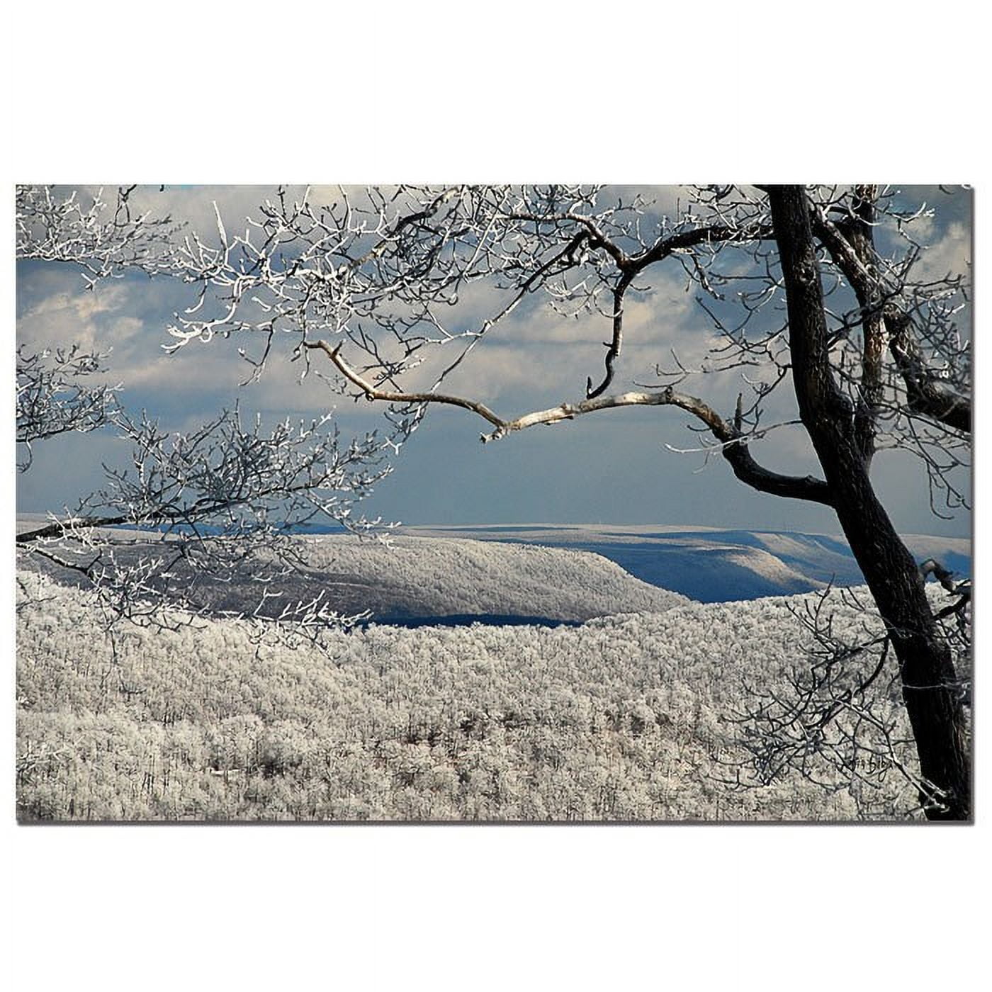 Trademark Fine Art "Winter Scene" Canvas Art by Lois Bryan