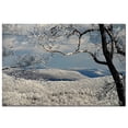 thumbnail image 2 of Trademark Fine Art "Winter Scene" Canvas Art by Lois Bryan, 2 of 2