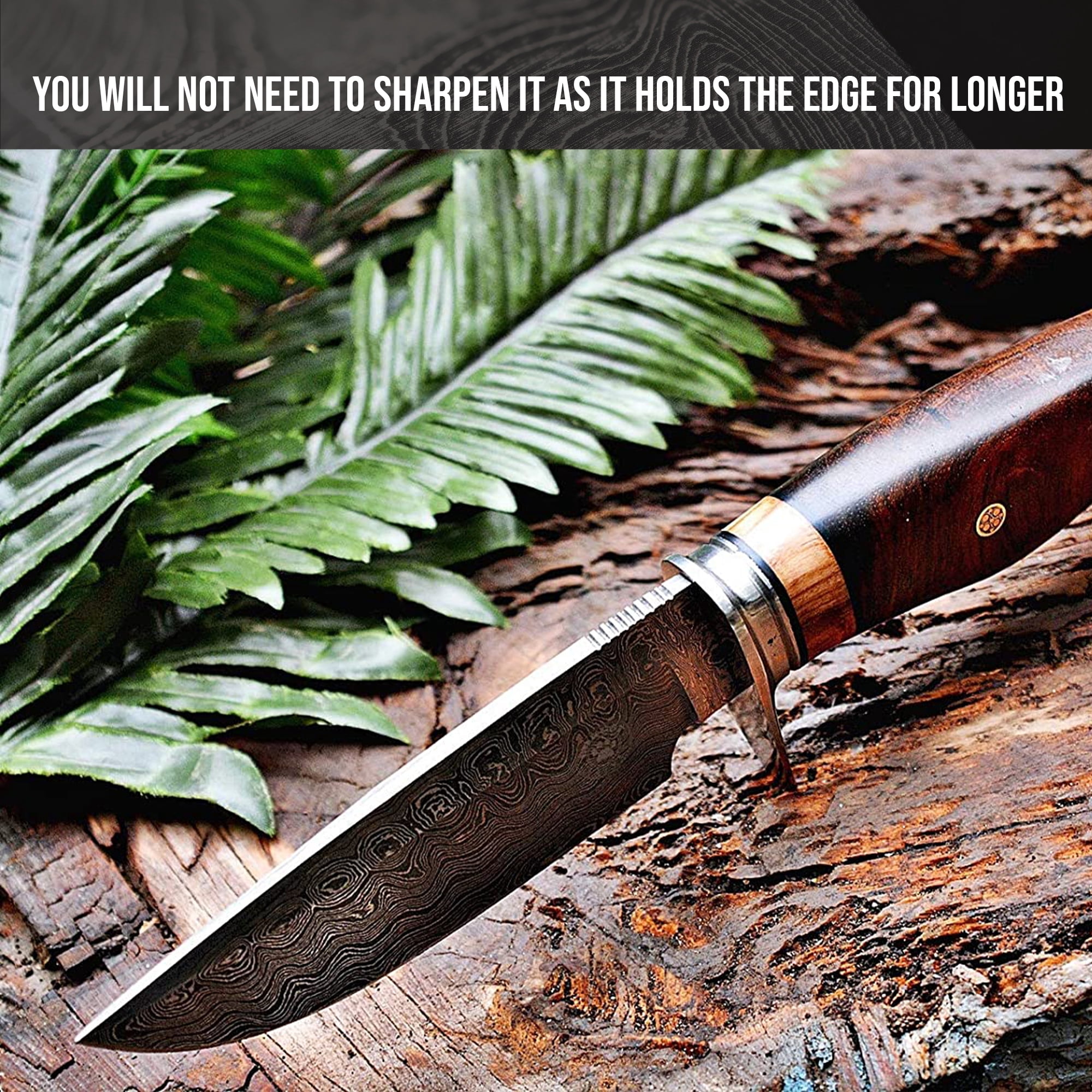 BigCat Roar Wild Tiger Damascus Buck Knife with Sheath - 4.8" Drop-Point Blade Hunting Knife