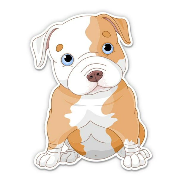 Cute Pitbull Puppy - 12
