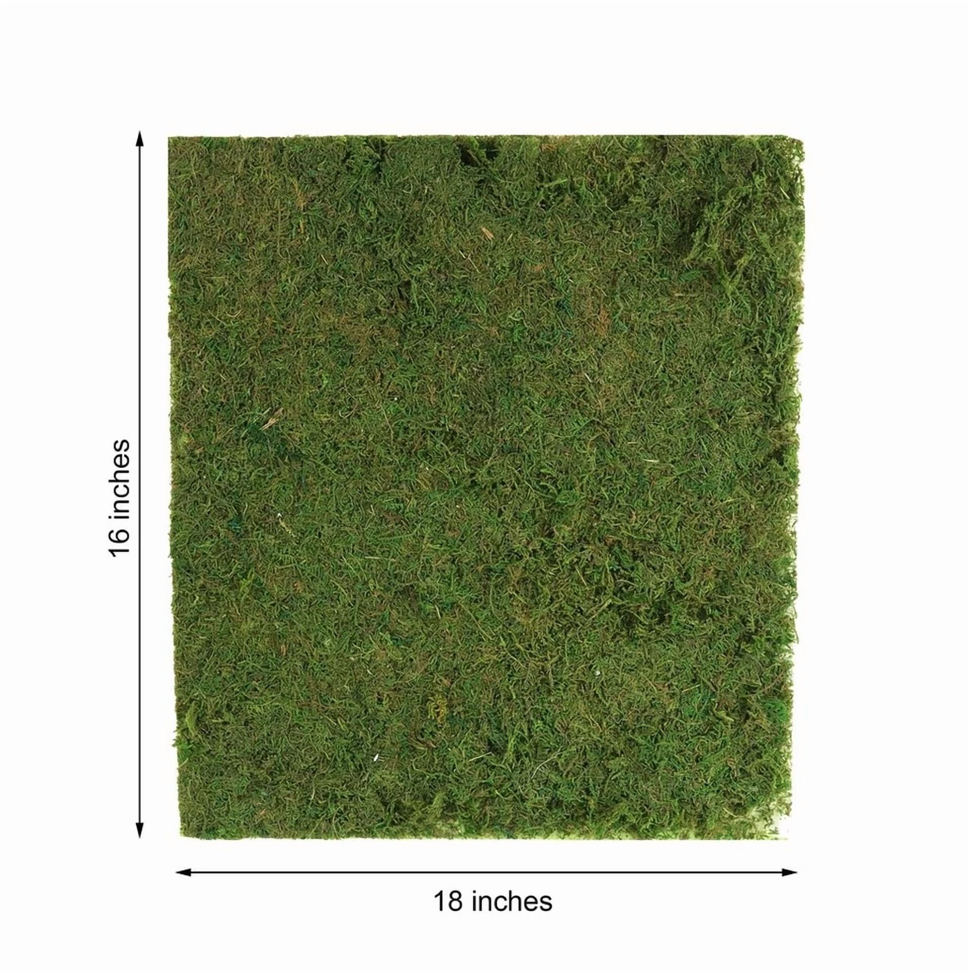CIRCLE- 18" X 16" Green Natural Preserved Moss Sheet Party Wedding Crafts Decorations