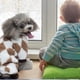 thumbnail image 5 of Suéter tejido de paja cuerda mascota gato suéter suave perro sudaderaSY109 Café BlancoM, 5 of 5
