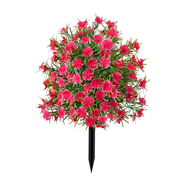 Outdor Using Spherical And To Make Boxwood Suitable For Outdoor Ground Nails Of Front Doors Gardens And Terraces