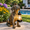 Bronze - Dog with Lantern, variant on Stone Grey - Dragon with Lantern Solar- Garden Statue Wall Hanger