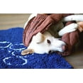 thumbnail image 6 of DGS Pet Products Dirty Dog Doormat Runner Bermuda Blue 60" x 30" x 2", 6 of 7