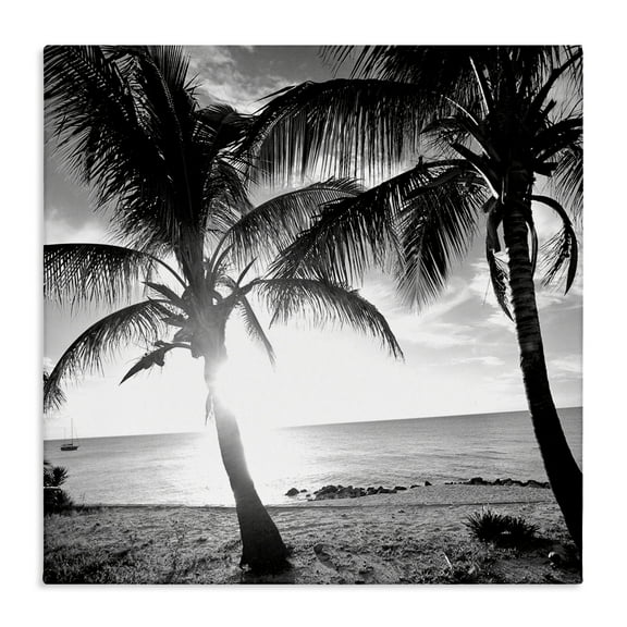 Stupell Industries Sunlit Palm Silhouettes Coastal Photography Gallery Wrapped Canvas Art Print Wall Art, 17 x 17