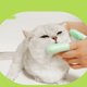 thumbnail image 5 of Cepillo de dientes para mascotas de 2 dedos Gatos Perros Cepillo de dientes para dedos Herramientas de limpieza bucal (Verde), 5 of 6