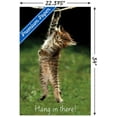 thumbnail image 3 of Famous Kitten Hang In There Poster Wall Poster, 22.375" x 34", 3 of 5