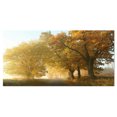 thumbnail image 2 of Rural Road Under Green Trees - Landscape Photography Canvas Print, 2 of 3