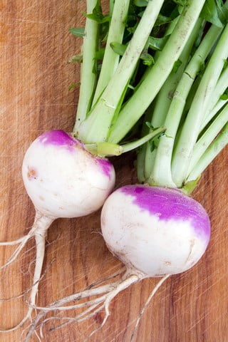 Purple Top White Globe Turnip Seeds 500 SEEDS NON-GMO 