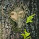 thumbnail image 2 of Shy Wood Elf Tree Face Escultura de Pared Decoración mística, 21 cm,, 2 of 5
