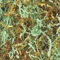 thumbnail image 1 of Papel Rizado para Relleno de 1 kg TANMWZK en Verde Claro Dorado, 1 of 6