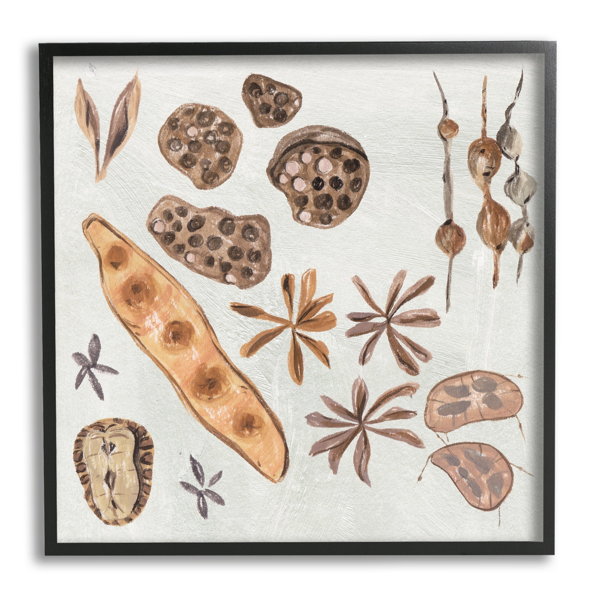 Stupell Industries Brown Seed Plant Botanicals Nature Diagram , 12 x 12, Design by Melissa Wang