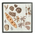 thumbnail image 2 of Stupell Industries Brown Seed Plant Botanicals Nature Diagram , 17 x 17, Design by Melissa Wang, 2 of 5