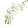 thumbnail image 1 of Artificial Orchid Stem, Real Touch Orchid Big Blooms Fake Phalaenopsis Flower Home Wedding Decoration, 1 of 8