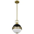 thumbnail image 4 of 60/7876-Nuvo Lighting-Everton - 1 Light Pendant-13.25 Inches Tall and 10 Inches Wide-Matte Black Finish, 4 of 16