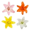 thumbnail image 2 of Assorted LA Hybrid Lilies - Fresh Cut - 80 Stems - by Bloomingmore, 2 of 9