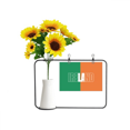 thumbnail image 1 of Ireland Country Flag Name Artificial Sunflower Vases Bottle Blessing Card, 1 of 3