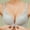 Gray, variant on Tbopshirt Bras for Women,Women's Bra Soild Wire Free Underwear One-Piece Bra Everyday Underwear