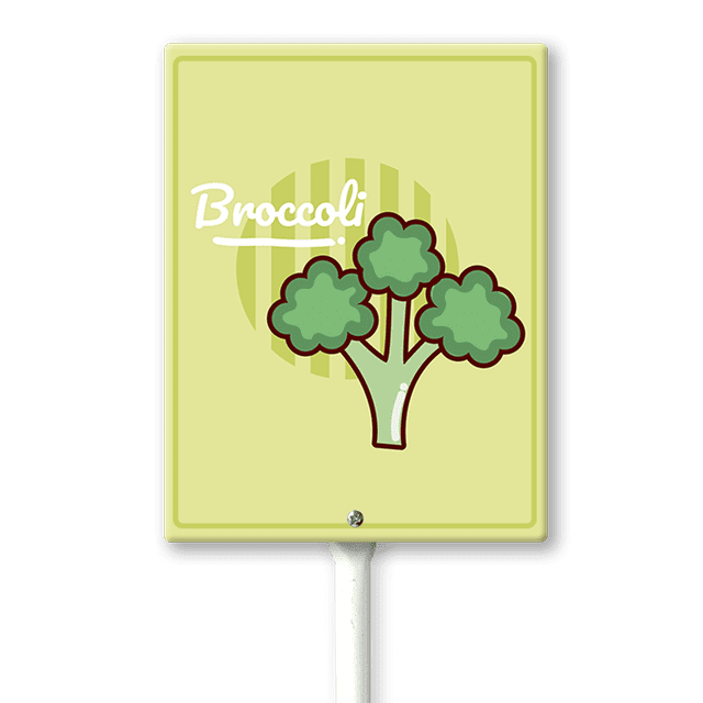 Eveokoki Vegetable Signs For Garden With Stake Broccoli Yard Sign Vegetable Garden Label Stakes Plant Markers For Outdoor Plants Waterproof 8x12inch Nursery Garden Fruit Outdoor Sign