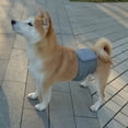 thumbnail image 5 of Male Dog Diapers, High Absorbing Dog Belly Bands for Male Dogs, Washable Reusable Dog Males Wraps, 5 of 9